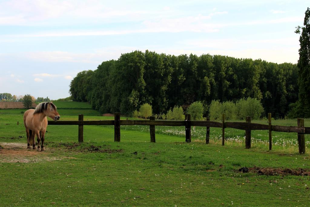 B&B Laurus Ypres Esterno foto